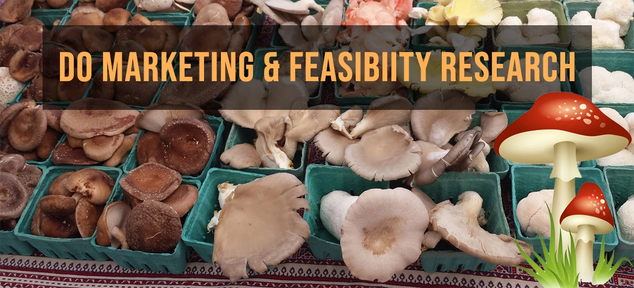 Start Mushroom Farming Business at Home in 2022, mushroom farming business plan