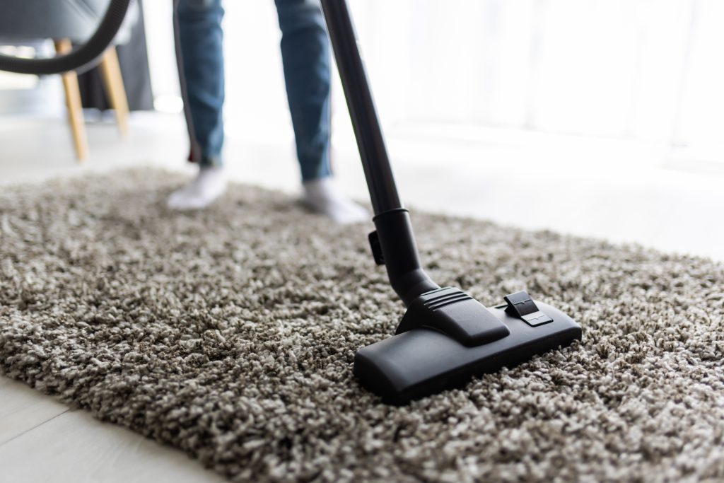 Unveiling the Marvels of Professional Carpet Cleaning Services